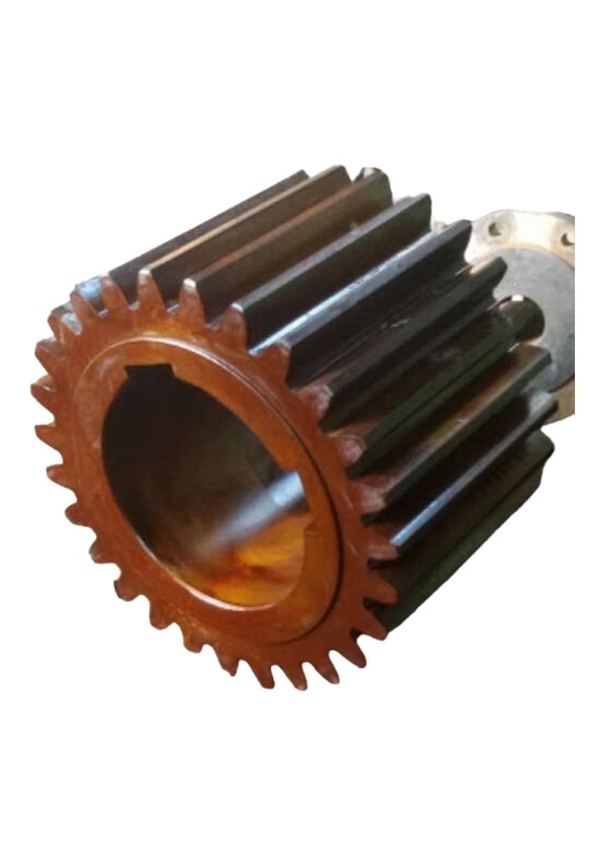 Spur Pinion